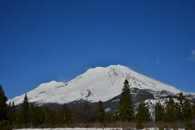 DSC_5892 (Large).JPG